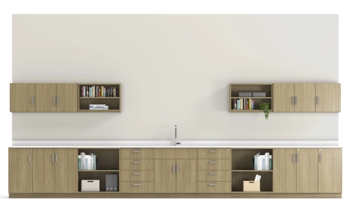 AIS CaseWorks Educational Lab
