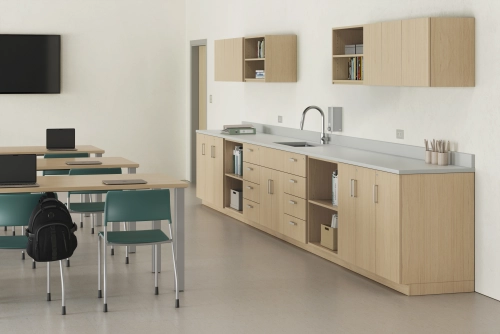 AIS CaseWorks in classroom setting